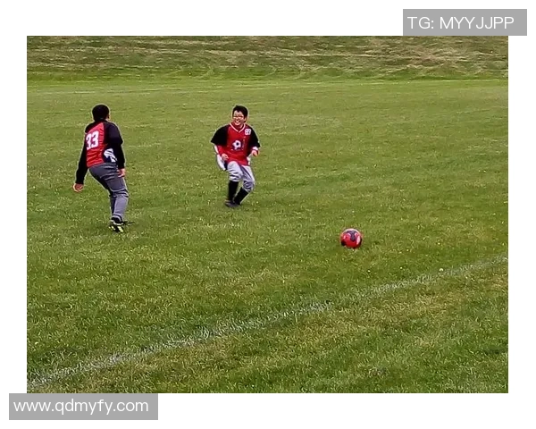 卡尔足球星的成长历程与辉煌成就深度解析 卡尔足球星的成长历程与辉煌成就深度解析