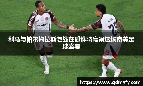 利马与帕尔梅拉斯激战在即谁将赢得这场南美足球盛宴