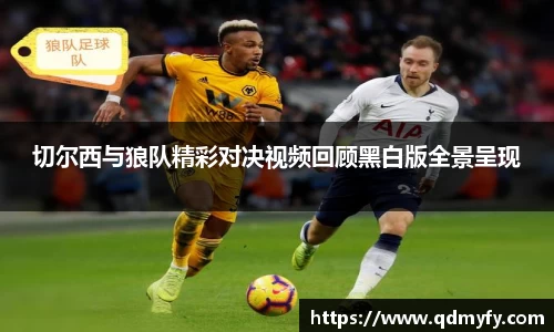 切尔西与狼队精彩对决视频回顾黑白版全景呈现