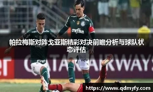 帕拉梅斯对阵戈亚斯精彩对决前瞻分析与球队状态评估